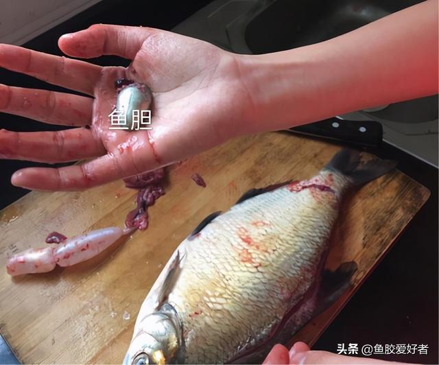 花胶可以多泡几天吗 花胶可以多泡几天吗有毒吗