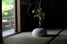 日式插花：美到极致是物哀图片