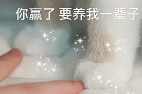 表情包｜让你看看什么叫性感妖娆图片
