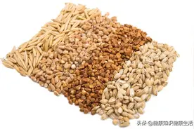 小麦、大麦、燕麦、荞麦在中医方面的区别图片