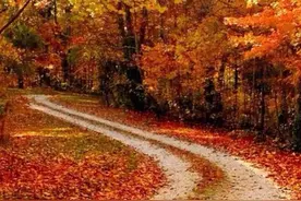 转弯遇到爱和希望图片