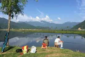 男子野钓回家多器官衰竭，高烧20多天，元凶是这个常见小虫子图片