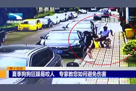 夏季狗狗狂躁易咬人，专家教您如何避免伤害视频封面