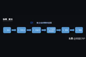 领星大会干货丨洞悉行业趋势，跨境电商企业的流量决胜之术图片