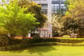 愿君且听沧浪之音，以度盛夏清白之年图片