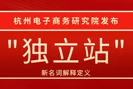 杭州电子商务研究院发布“独立站”新名词解释图片