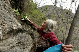 84岁老人独自在深山生活，有人送米面油手机，有人做老人的干闺女图片