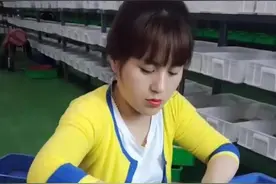 农村女孩不怕虫养大麦虫一斤卖60元，成本低操作简单，看看长啥样图片