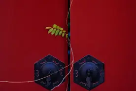 走！去故宫「未开放区」看看图片