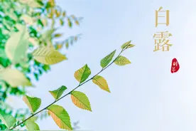「杏林名医」谈白露养生：脾胃病应注意情志调理图片
