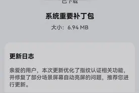 华为 P30 推送鸿蒙 HarmonyOS 2 重要补丁包：修复自动亮屏问题图片