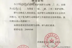 一对“落难”精灵 遇到监狱民警 结局极度舒适图片