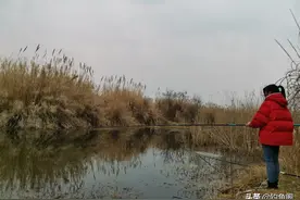 钓两条就停口？浅水钓鱼最怕“炸窝”，预防比解决更重要图片