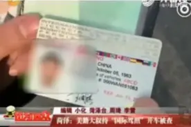 中美驾照规则不同! 华人回国持国际驾照开车被捕, 这是为什么?图片
