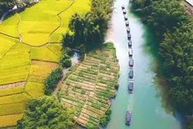 忆我的高四复读生涯图片