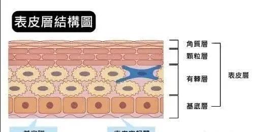 洗面奶和去角质到底哪一步先做？弄反了脸会更脏！原来这样用才对