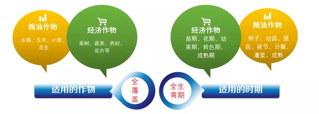 冲施必备，一步到位！这款冲施好搭档，绝对让你效果翻倍