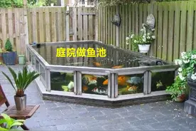 庭院里找一块地，砌个50公分的鱼池养养鱼，流水石景，天天看不腻图片