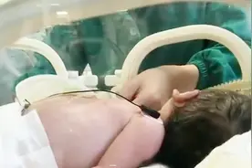 新生儿被弃寺庙门前生命垂危 住持讲述揪心一幕 近40人咨询领养视频封面