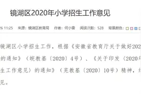 最新！2020年镜湖区小学学区已划分图片