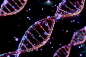 最新！2021年北京市学业水平等级性考试生物试卷权威解析图片