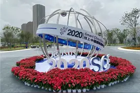 2020线上智博会开幕 九龙坡区两企业线下参展图片