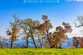 中朝边境之旅：最美风景在路上，窗外风光似画卷，异域风情尽展现图片