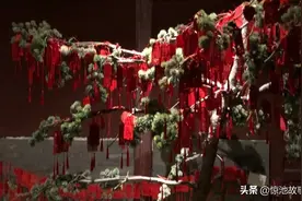 我是一名纹身师，却与黑帮结了派｜纹身师01图片