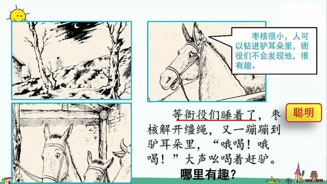 部编版三年级下册第28课《枣核》知识点+图文讲解