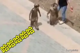 洗洗还能要！熊孩子变身行走的"铜人"，邻居笑出鹅叫图片