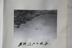 水塘沉尸（1）-------连载《正义永不缺席》图片