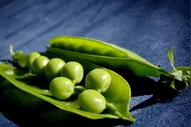 烟台双塔食品：立项研发高效制备真肉口感的植物蛋白肉图片
