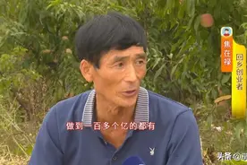 身家好几千万，非要回乡种桃。别人叫他“傻子、呆子、骗子”，他图个啥呢？图片