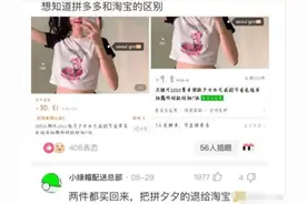 “拼多多和淘宝到底有啥区别？”哈哈哈哈哈哈哈网友支的这招确实够狠！图片