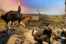 免费！北京这个地铁直达的“宝藏乐园”，好玩又有趣！这时候去刚刚好！图片