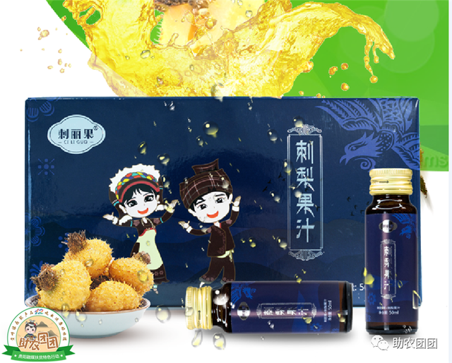 助农团团丨刺梨产业巡礼②：金秋十里沟，硕果满枝头