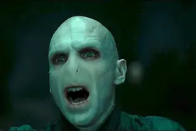 《哈利波特》里最厉害的咒语—阿瓦达索命咒，真没有破解之法吗？图片