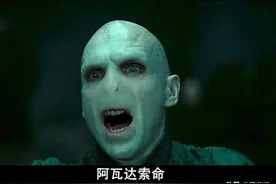 《哈利波特》里最厉害的咒语—阿瓦达索命咒，真没有破解之法吗？图片