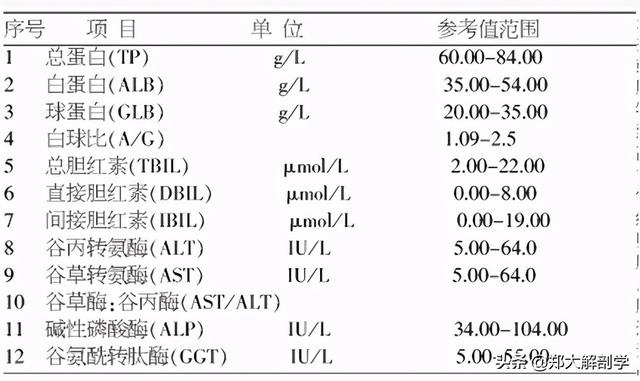肝脏主要功能及损伤表现