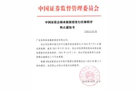 前员工银行卡流水进出超亿元，这家科教玩具公司IPO被叫停图片