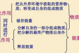 关于新陈代谢，我们需要了解哪些？图片