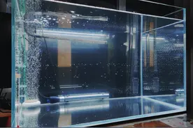 我们养观赏鱼，增氧泵到底该不该用？什么时候用？怎么用？图片