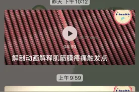 【运动损伤Respond】第四期 |肩关节-基础知识图片