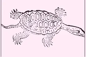 《山海经》图文解析（3）图片