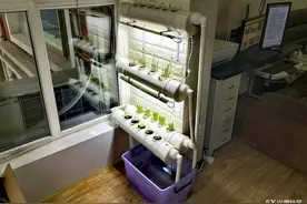 我在阳台开了个自留地——DIY自动循环水培蔬菜系统图片