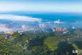 奋斗百年 “驿”路向前一一建党100周年成都市龙泉驿区经济社会发展报告图片