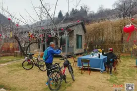 焦作这个村庄“老树”发“新芽”！火得不要不要……图片