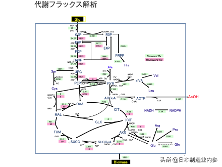 日本食品巨头味之素：世界第一的氨基酸制造厂商，未来你能吃到的调味品是如何做出来的？