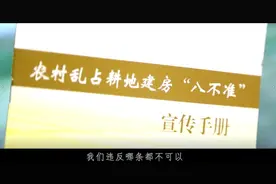 农村乱占耕地“八不准”广西桂平光哥唱你听图片