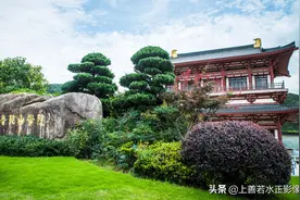 中国佛学院普陀山学院小记图片